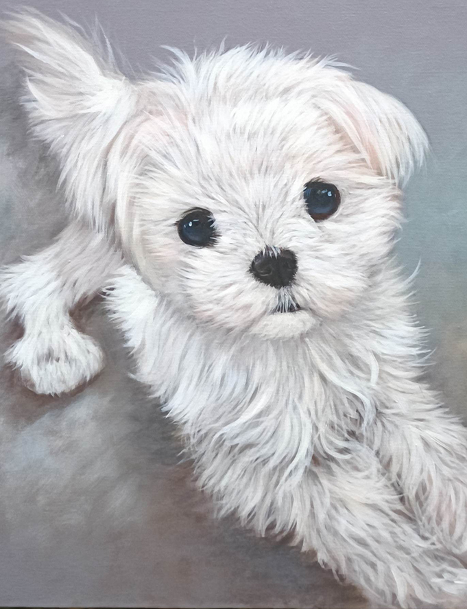 Brugerdefineret portrætmaleri af hvid hund